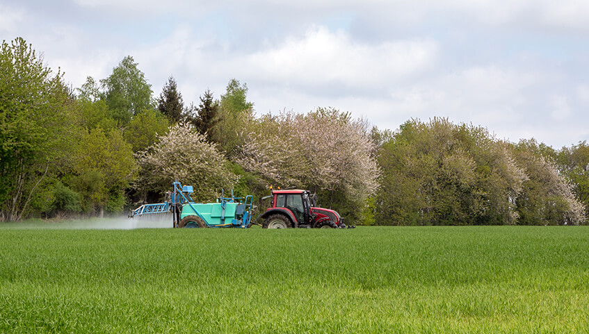 Roundup Cancer Lawsuit